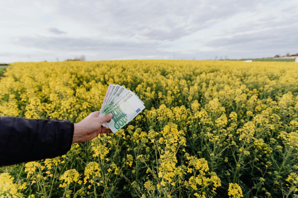 Unrecognizable male holding Russian bills while standing on blossom field during trip on countryside on daytime